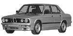 BMW E28 P0A1E Fault Code