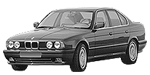 BMW E34 P0A1E Fault Code