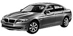 BMW F10 P0A1E Fault Code